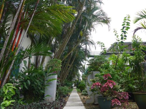 a walkway through a garden with palm trees and plants at Wesberly Apartments in Kuching