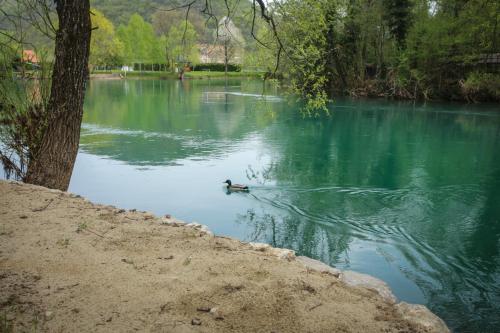  Kuca Delić -  Room  picture :   Shower    TV    Air conditioning                           