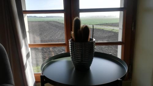 a vase sitting on a table in front of a window at Gîte et chambres d'hôtes Le Chêne Billault in Pouant