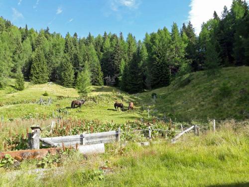 Almliesl PRED-579 – Photos 3