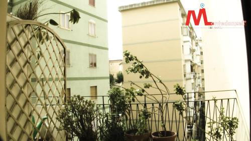 Montedonzelli B&B photo 75