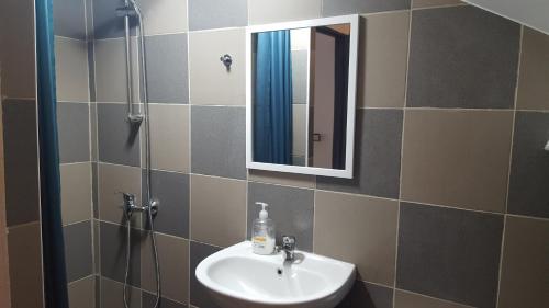 a bathroom with a sink and a mirror at Du Moulin Room in Liège