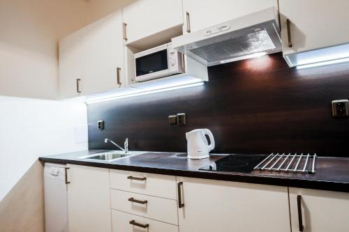 Kuchyň nebo kuchyňský kout v ubytování Accommodation Smečky 14