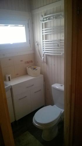 a bathroom with a white toilet and a window at Bory Tucholskie Domek in Skorzenno