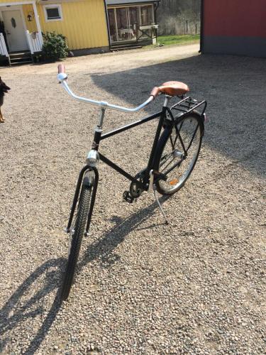 skummeslöv B & Bの敷地内または近くで楽しめるサイクリング