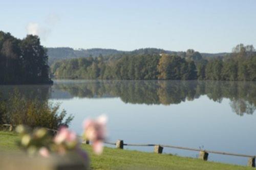 a view of a lake with trees in the background at Rasta Lilla Edet in Lilla Edet
