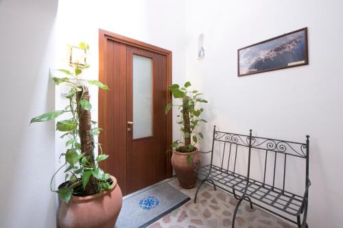 a hallway with two potted plants and a door at DieciSedici in Amalfi