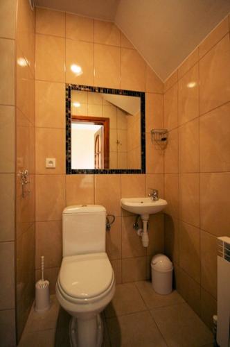 a bathroom with a toilet and a sink at Wynajem pokoi Natalia in Sromowce Niżne