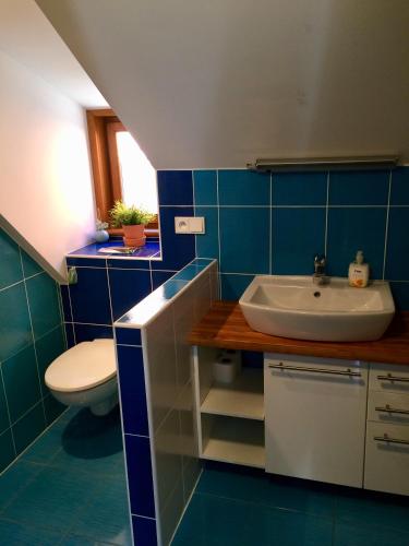 a bathroom with a sink and a toilet at Apartment 23 in Český Krumlov