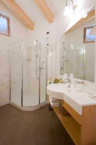 a bathroom with a shower and a sink at Hotel Rosa Resort in Cavareno