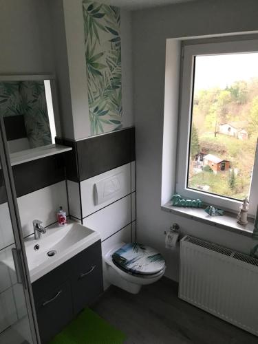 アイゼナハにあるÜber den Dächern von Eisenachのバスルーム(洗面台、トイレ付)、窓が備わります。
