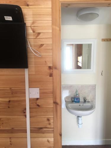 a bathroom with a sink and a mirror at 1 Lochness Rooms&Hostel in Drumnadrochit