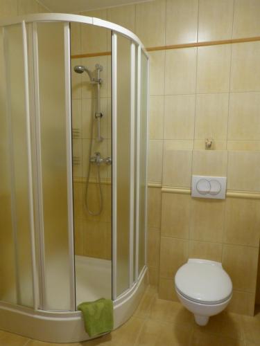 a bathroom with a shower and a toilet in it at Apartament Grażyna in Krynica Zdrój