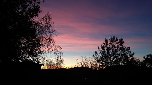 a sunset with two trees on a hill at Albergo Sapori in Tolè