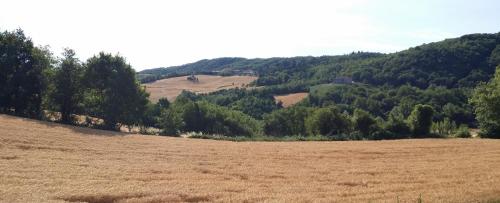 an open field with trees in the background at Albergo Sapori in Tolè