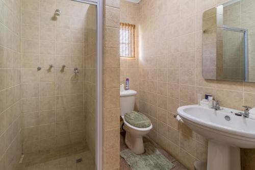 y baño con ducha, aseo y lavamanos. en Hoyohoyo Machadostud Lodge, en Helvetia Noord