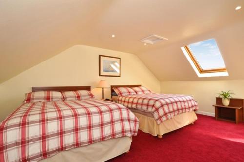 two beds in a attic room with red carpet at Lynfield B&B in Galway