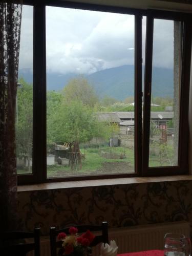 a window with a view of a field outside at Guest House Kakheti in Kvareli