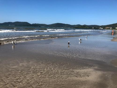 Uma praia perto da casa de temporada