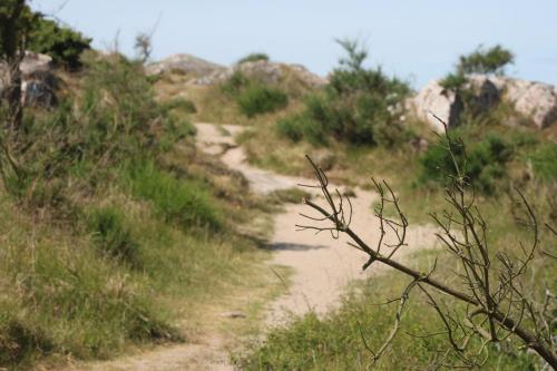 a dirt road in the middle of a field at Pension Sandbogaard in Sandvig