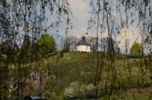 a white building on top of a hill at Castell Hotel & Restaurant in Leinsweiler