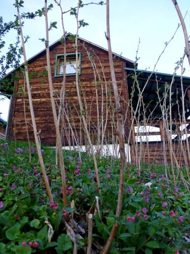 a log cabin with flowers in front of it at Na końcu świata in Dubiecko