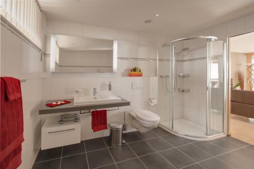 a bathroom with a shower and a toilet and a sink at Apartment Meric Superior in Zermatt