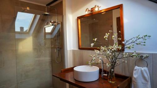 un bagno con lavandino, specchio e doccia di Casa Badea a Rîu Alb