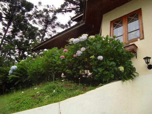 a window box with flowers on the side of a house at Chalé Suiço de Campos do Jordão in Campos do Jordão
