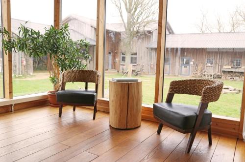 two chairs and a table in a room with windows at Gutshaus Landwert Hof in Stahlbrode
