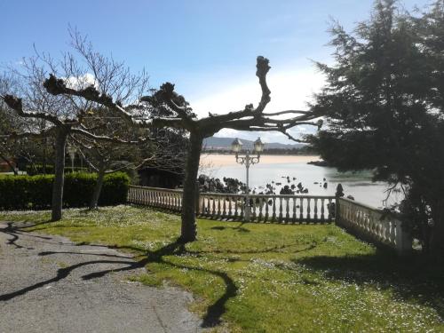 a tree in front of a fence and a body of water at Hotel Candano in Isla