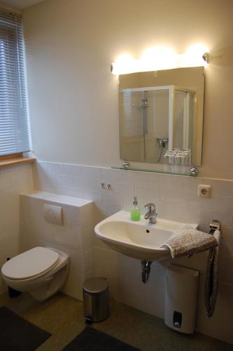 a bathroom with a sink and a toilet and a mirror at Auf dem Berg in Malchow