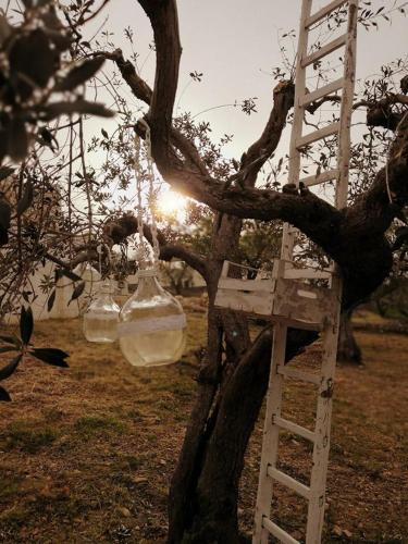 a tree with a ladder hanging from a tree at Trullo Le Tre Sorelle in Cisternino