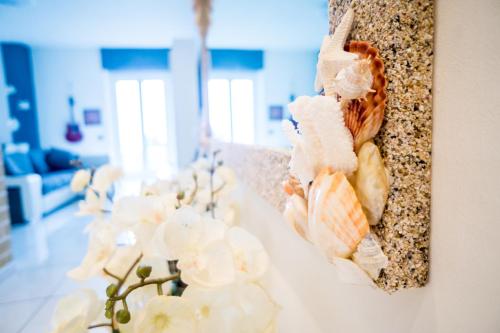 a row of shells on a wall in a room at Angolo Paradiso - Lago di Como in Valbrona