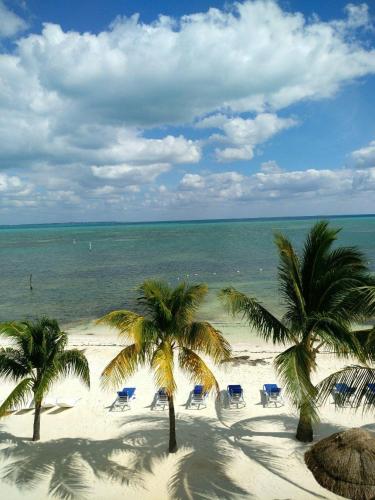 a beach with palm trees and chairs and the ocean at Bella Beach Condo Cancun in Cancún