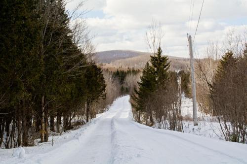 a snow covered road with trees on either side at Aux Pignons Rouges Camping & Chalets in Saint Romain