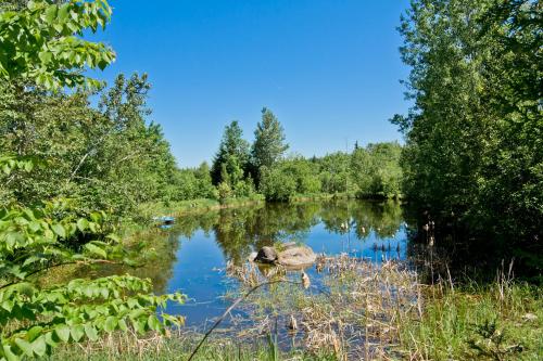 a duck is sitting in the middle of a river at Aux Pignons Rouges Camping & Chalets in Saint Romain