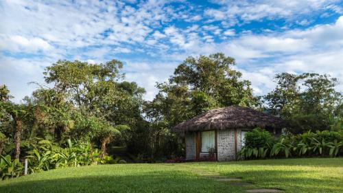 a small hut with a grass roof on a field at Terrabambu Lodge in Mindo