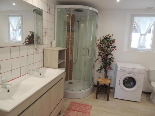 a bathroom with a shower and a washing machine at La Jarillais in Saumur