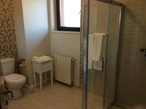 a bathroom with a toilet and a glass shower at Vila Royal in Urziceni