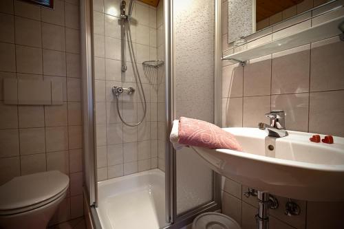 a bathroom with a sink and a shower and a toilet at Moserhof in Haus im Ennstal