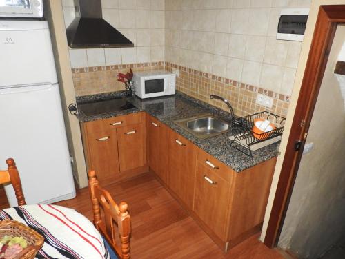 una pequeña cocina con fregadero y microondas en Ca les bessones, en Villar de Canes