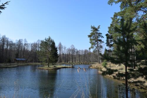 Maalaistalon lähellä sijaitseva luonnonmaisema