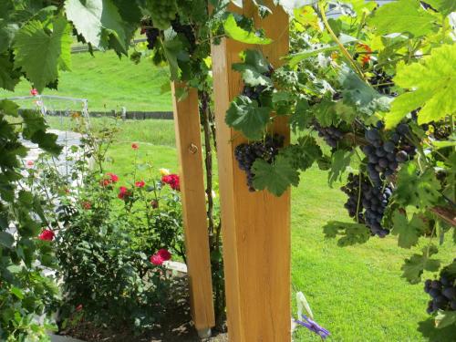 a wooden trellis in a garden with red flowers at Haus Spiessl in Bad Griesbach