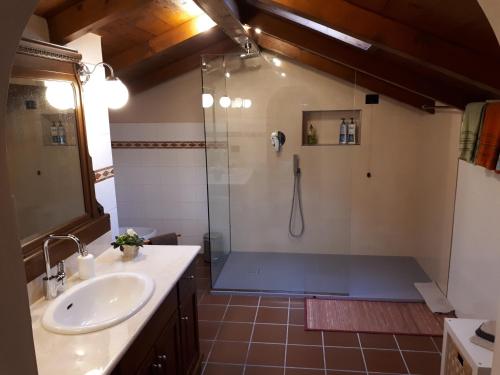 a bathroom with a shower and a sink at B&B Family House Franciacorta in Corte Franca