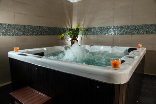 a large bath tub with a potted plant in it at Plumeria Hotel in Antsirabe