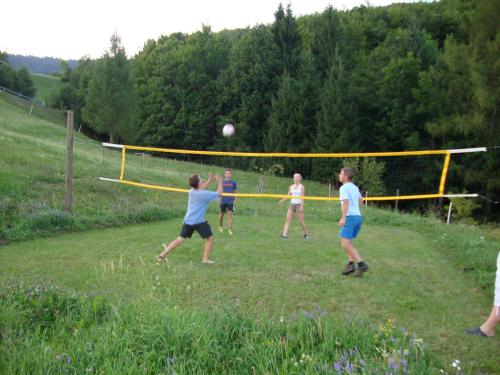 a group of people playing a game of volleyball at Apartments Za Grapo in Cerkno