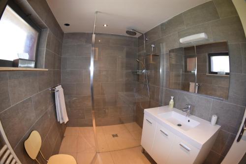 y baño con ducha, lavabo y espejo. en Gite rural les Combes, en Thorens-Glières