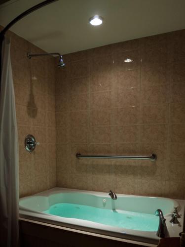 a bath tub in a bathroom with a shower at Blackberry Inn in Camden