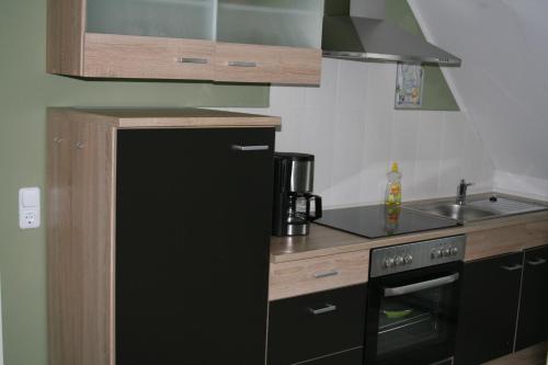 a kitchen with a black refrigerator and a sink at Landhaus Elbeflair bei Dömitz in Lenzerwische